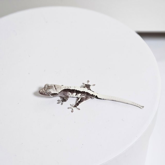 릴잔틱 솔리드백