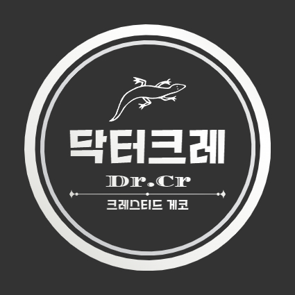 닥터크레