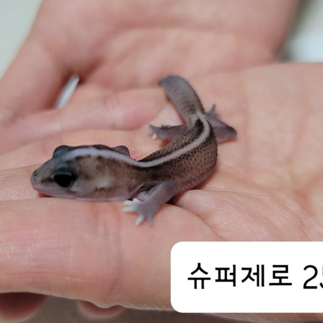 슈퍼 제로