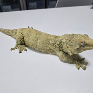 브로쓰