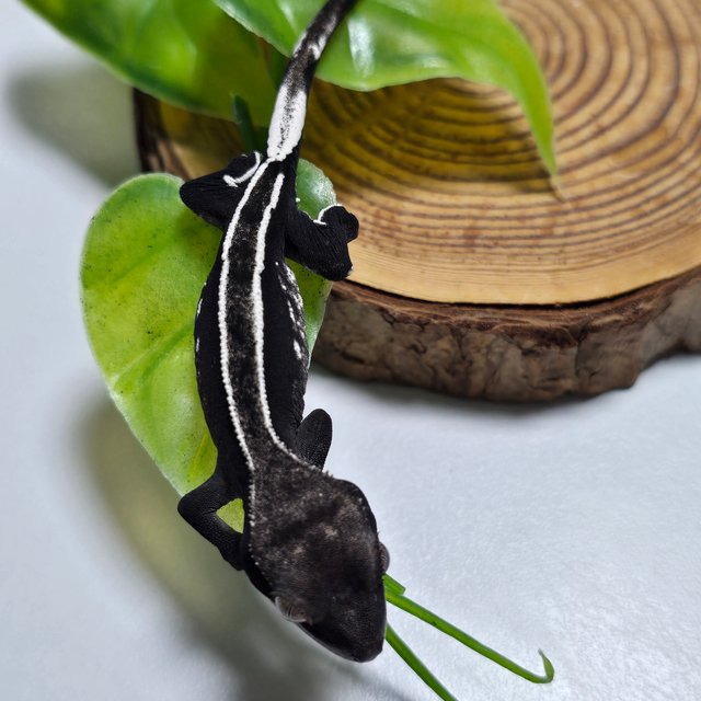 Axanthic