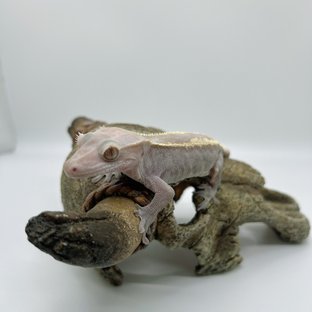 라멜