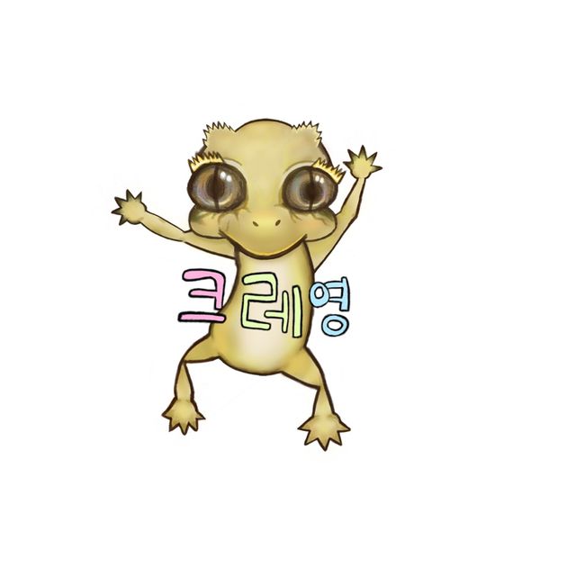 노멀