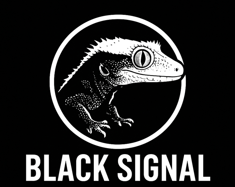 BLACKSIGNAL