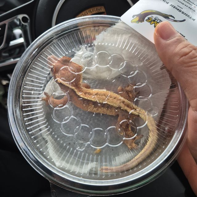 세이블
