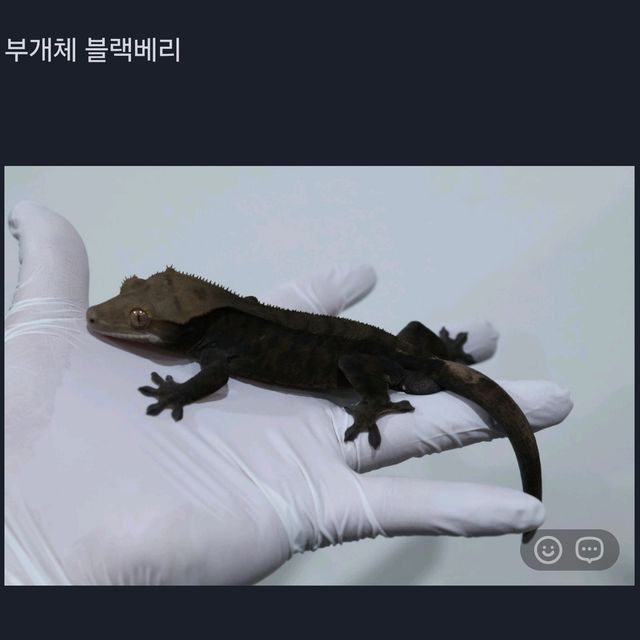 챠콜 카푸치노