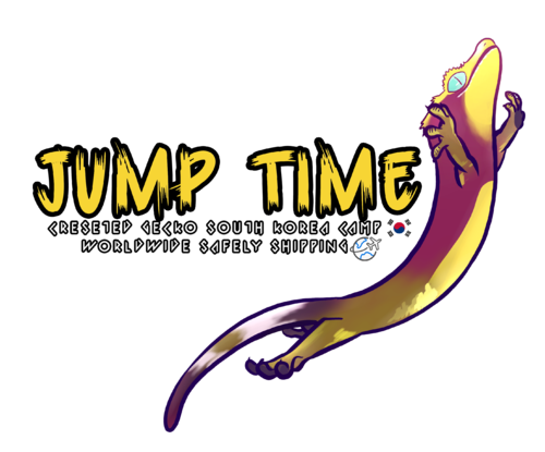 점프타임JUMPTIME