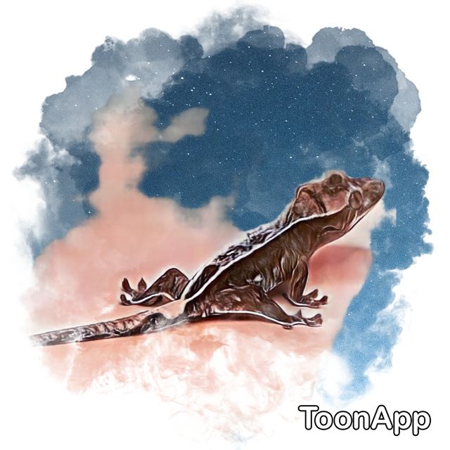 릴잔틱