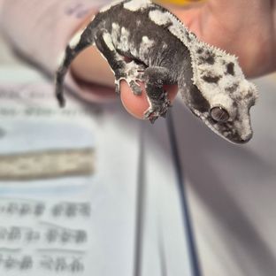 변화7