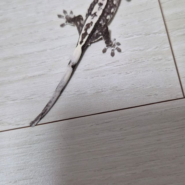 아잔틱