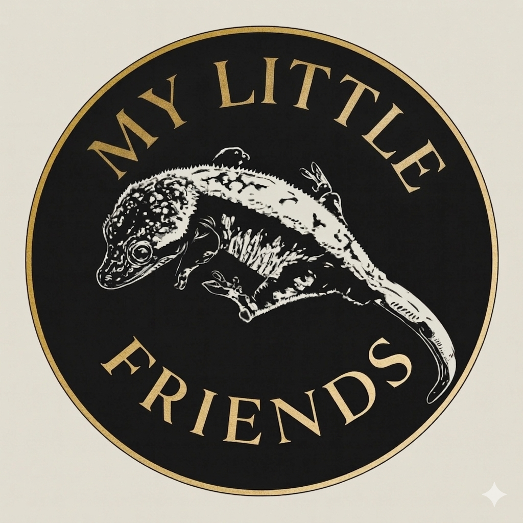 MyLittleFriends
