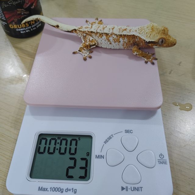 노멀 트라이 드리피 텐저린