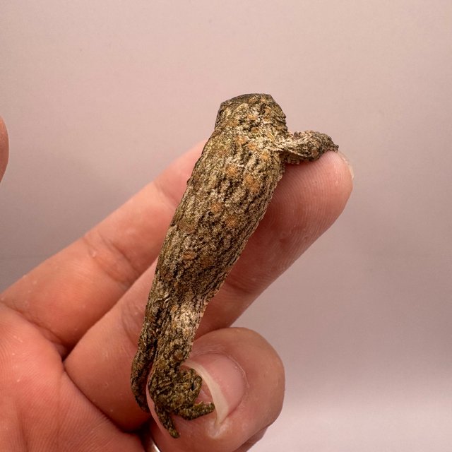 누아나 누아미 하이 컬러