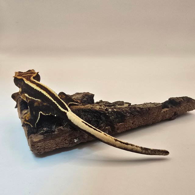 엠티백 풀핀 슈퍼스트라이프