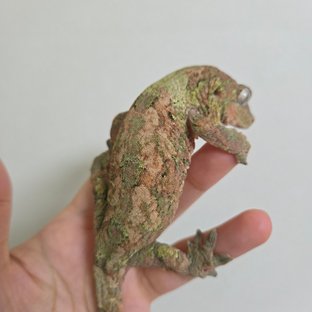 파인아일랜드 화이트카라