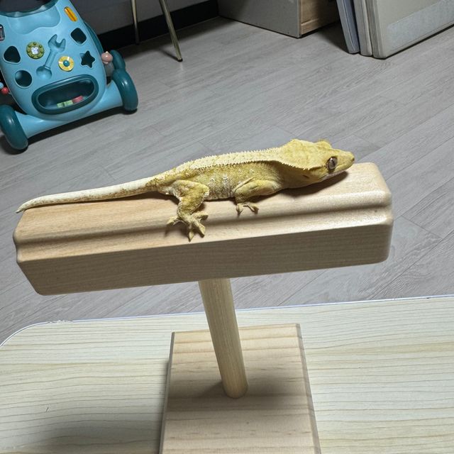 크림시클