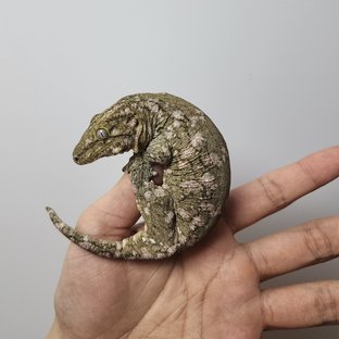 노멀 누아나 누아미