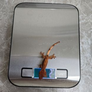 오디×잼이베이비
