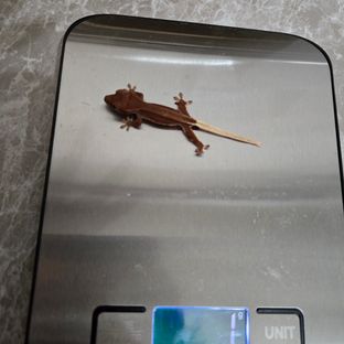 2번