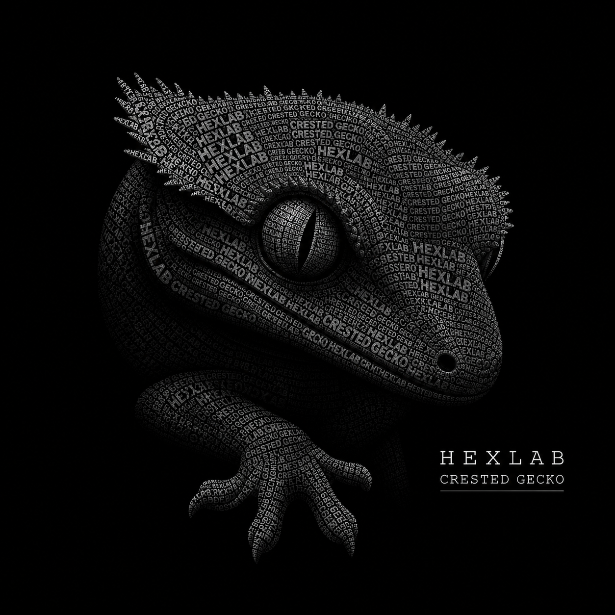 HEXA