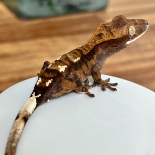 25B05