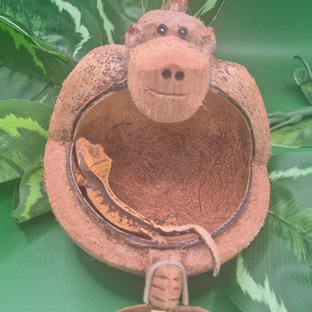 노멀 핀스트라이프