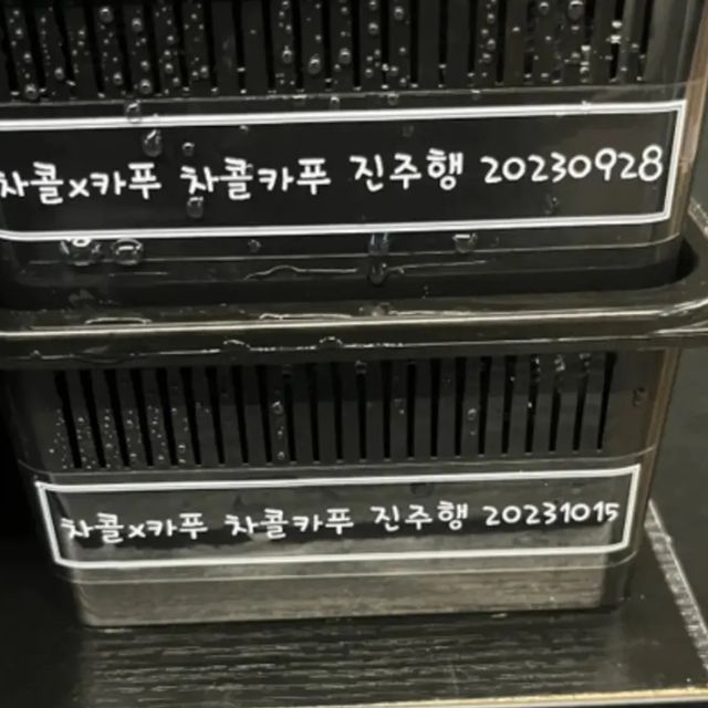챠콜