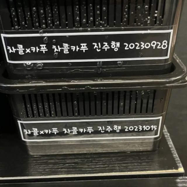 챠콜