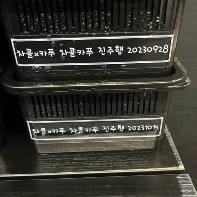 챠콜
