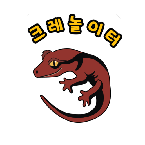 도마뱀놀이터