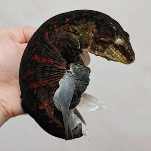 루시퍼