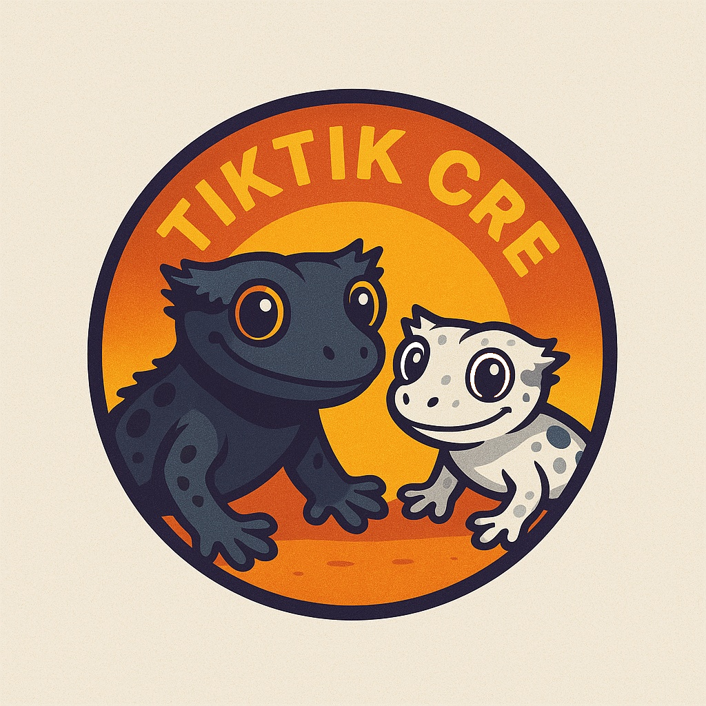 틱틱크레