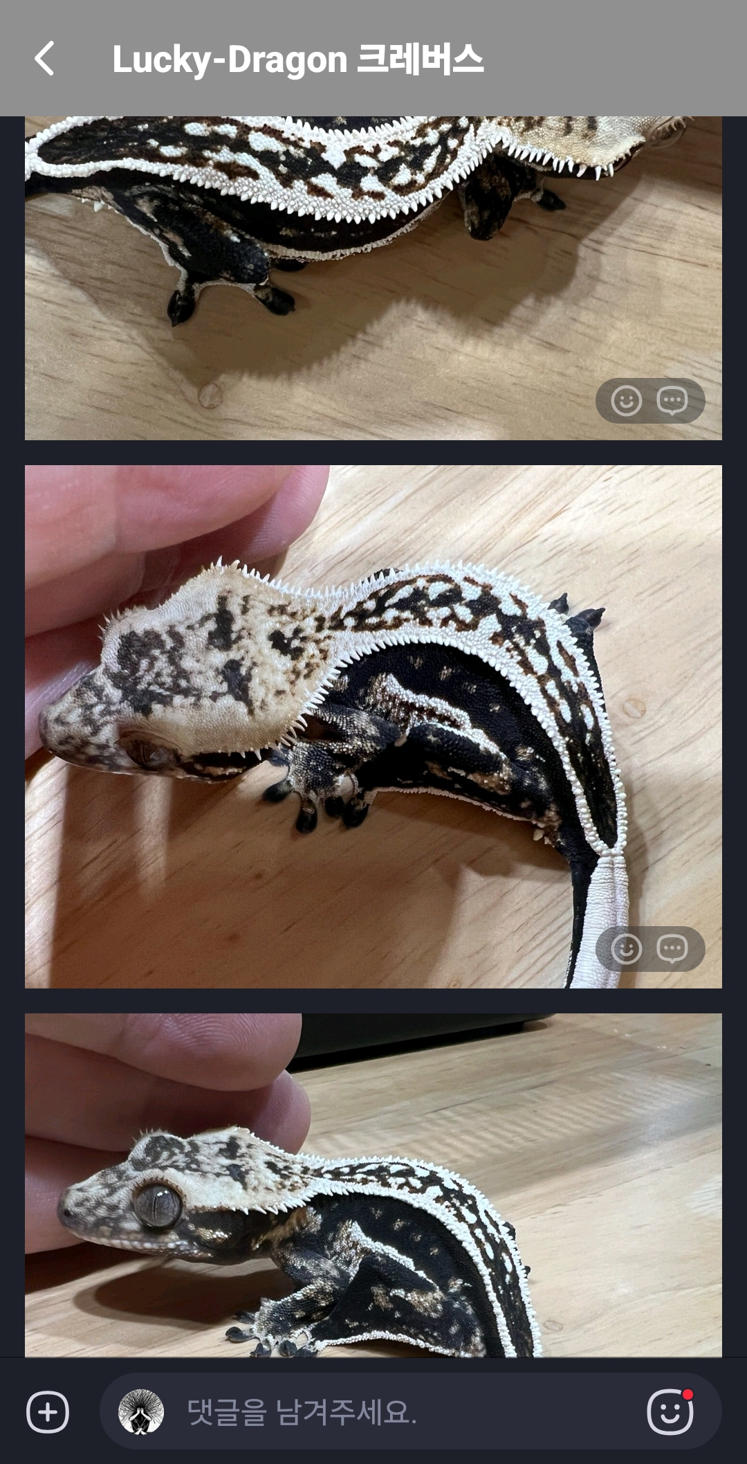 유인원