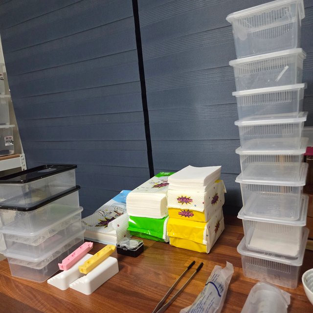 노멀 릴리화이트 릴잔틱 솔리드백 트라이 익스트림할리퀸