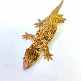 바요나이즈