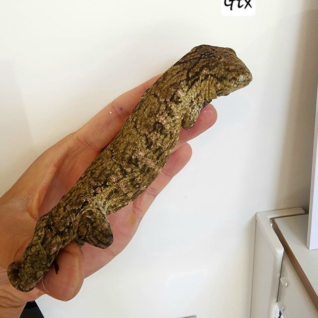 GTX