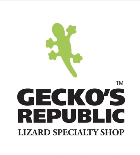 게코스리퍼블릭1