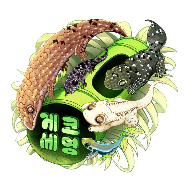 노멀