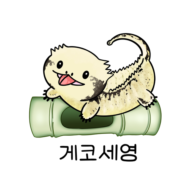 노멀
