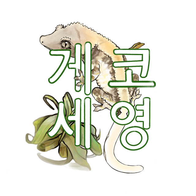 노멀