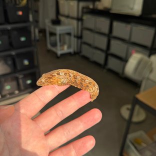 Tru color High color