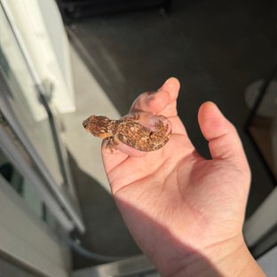 하이 컬러 트루 컬러 리버만