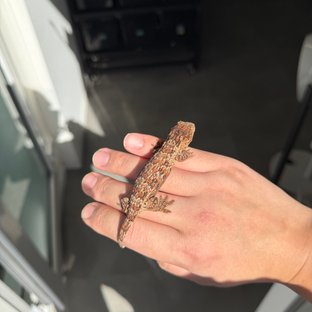 하이 컬러 트루 컬러 리버만