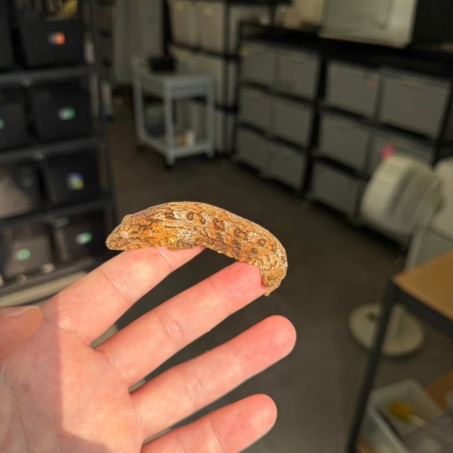 Tru color High color