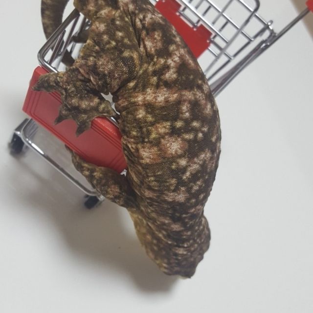 브로쓰 리핀리치스
