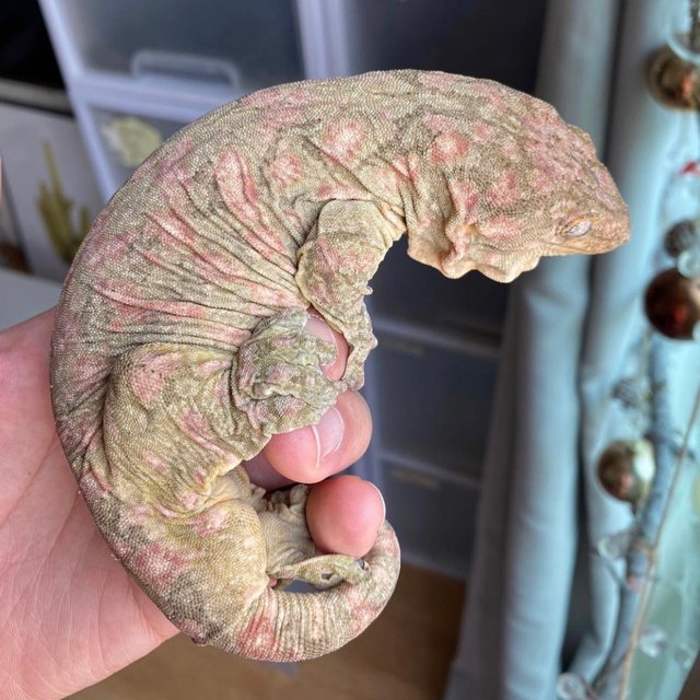 트루 컬러 하이 컬러