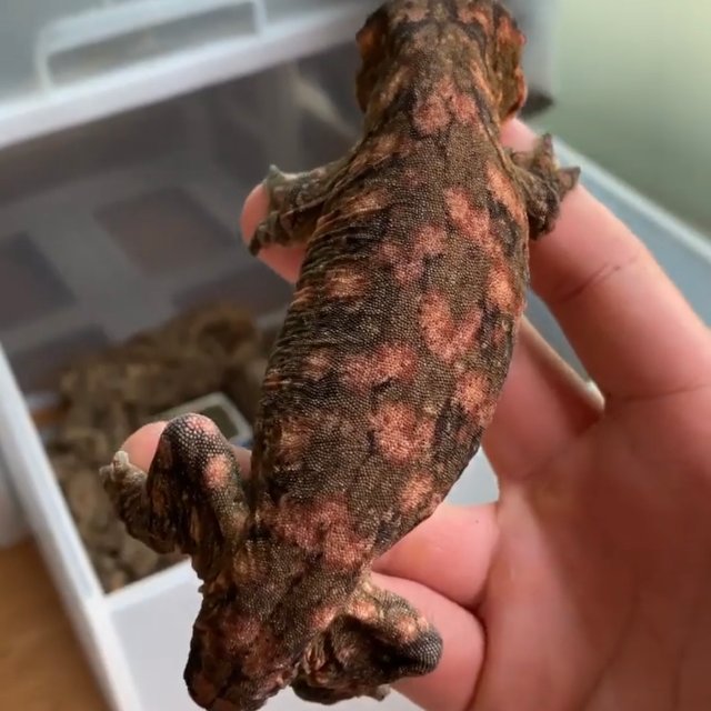 트루 컬러 하이 컬러