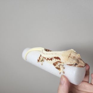 릴리화이트 레드