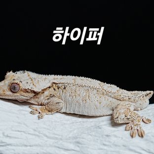 하이퍼