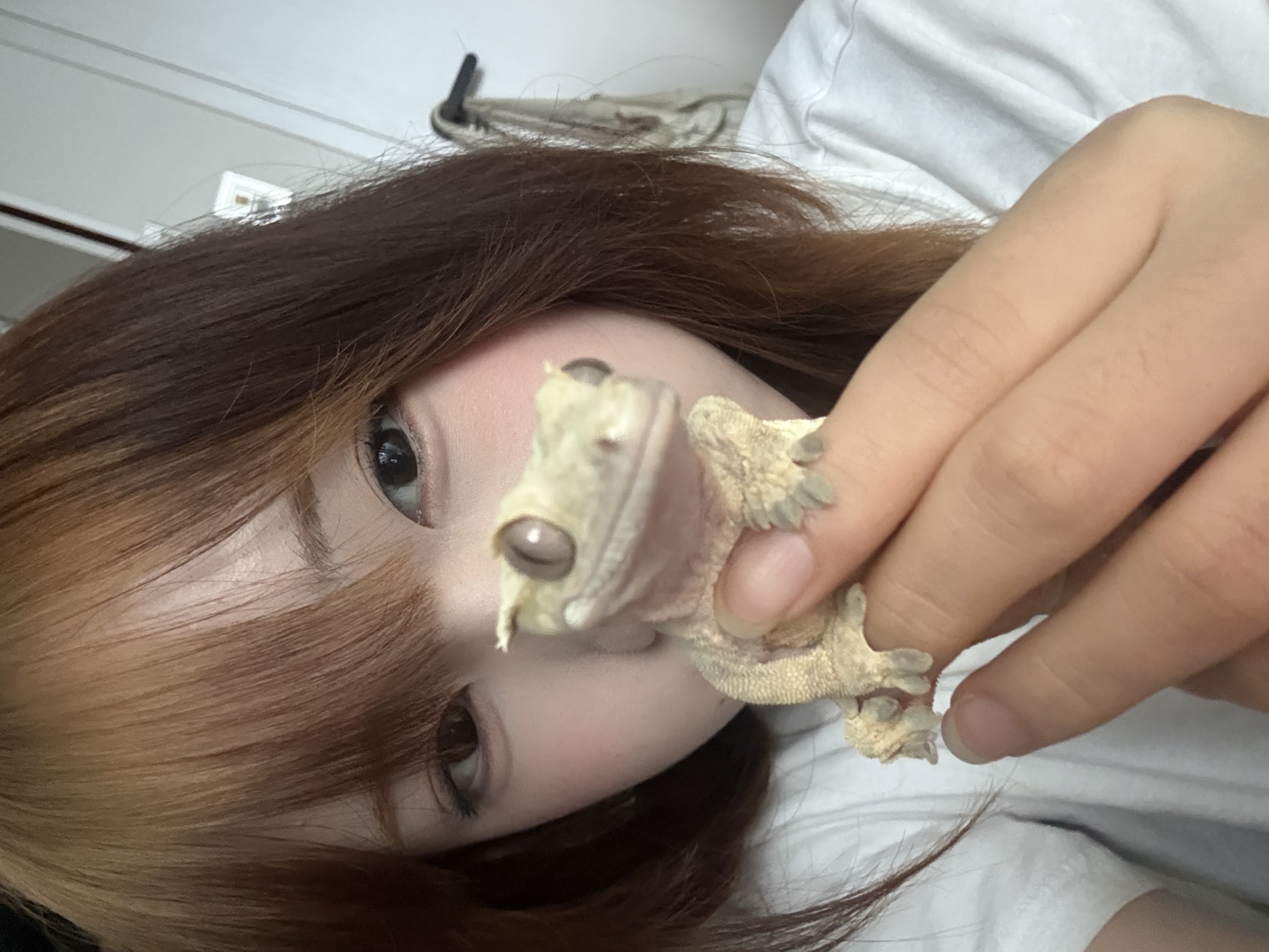 현정